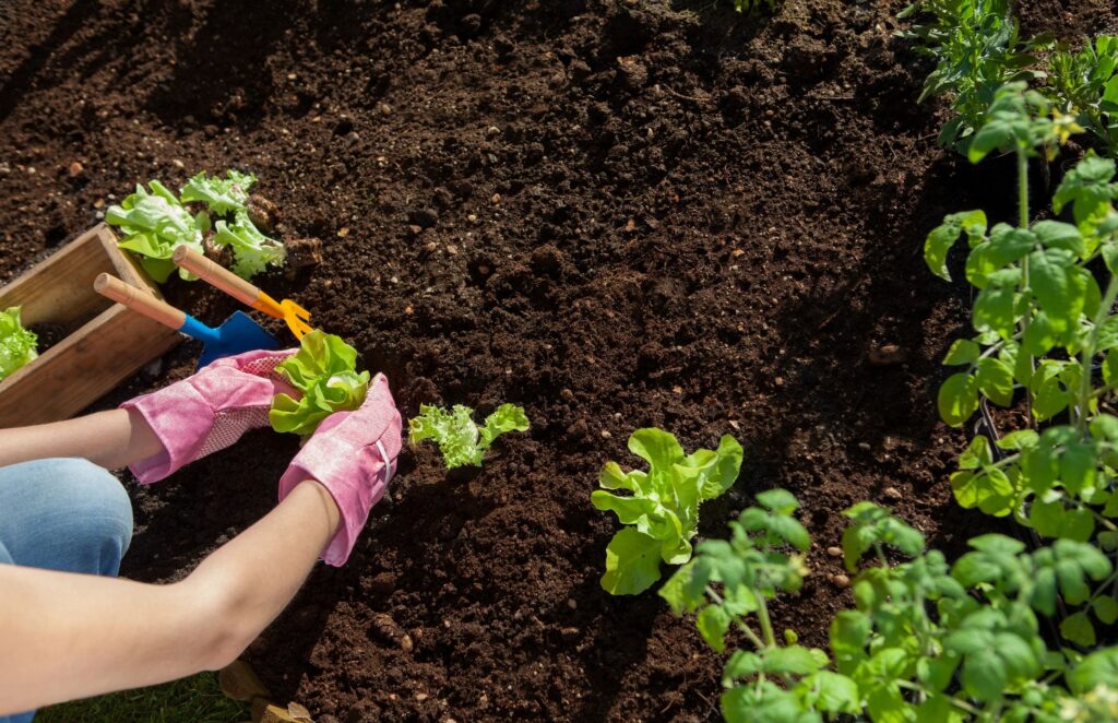 Someone Planting a Garden