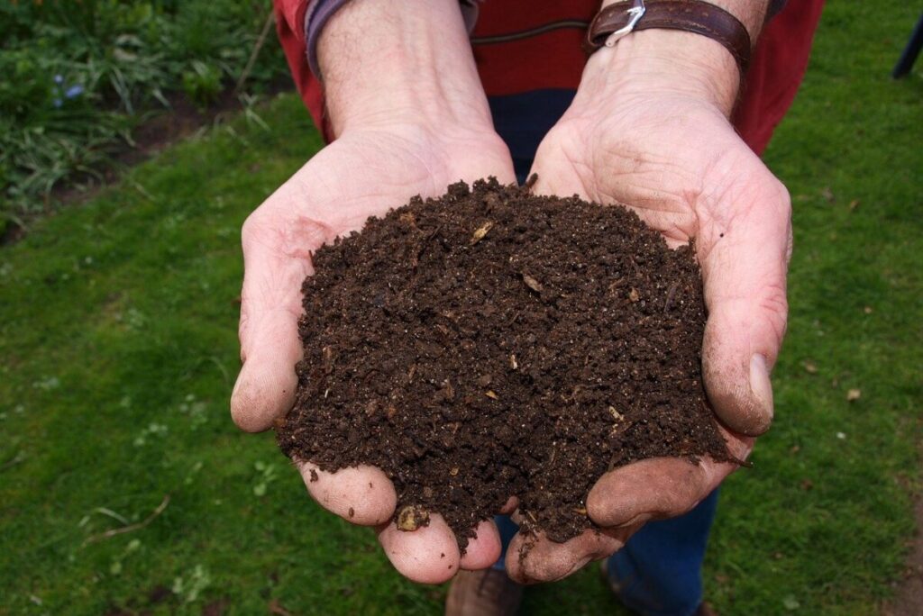 Compost Helps Gardens