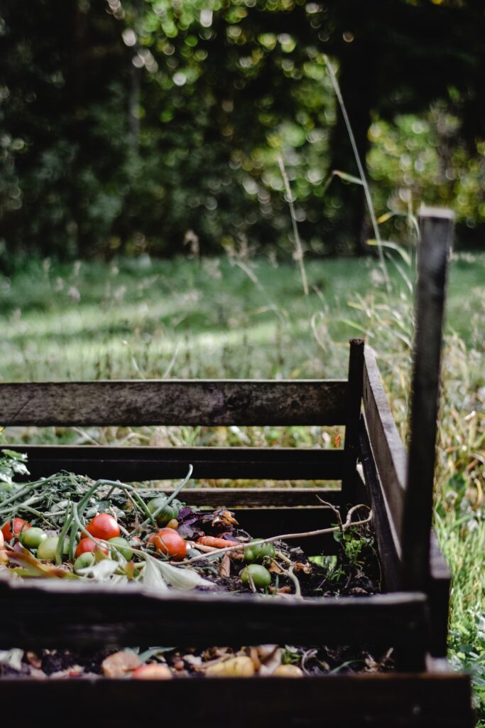 Start Composting at Home