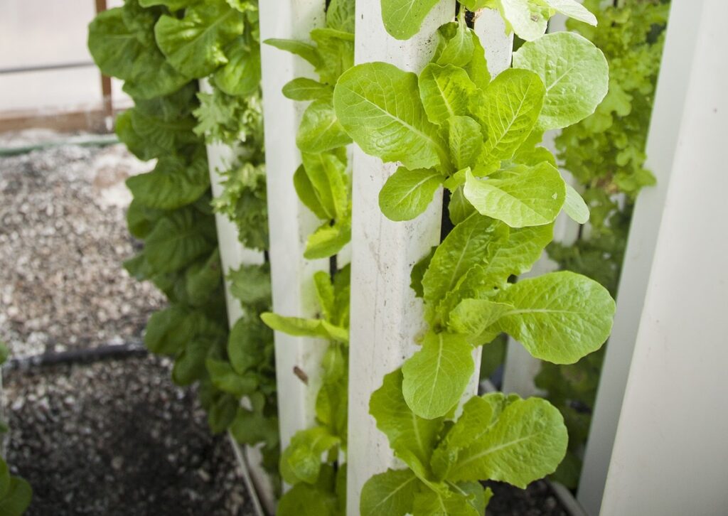 Hydroponic Gardening