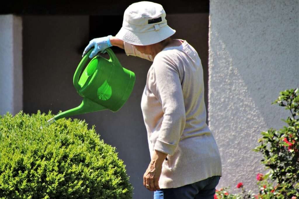 Elderly gardener reaping benefits of gardening